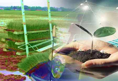 Exploring the Versatility of Biological Seed Treatments